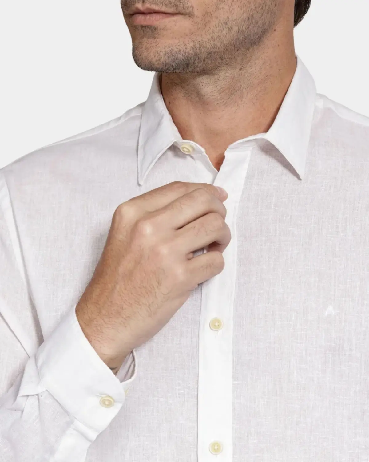 Camisa Sl Linho Aramis